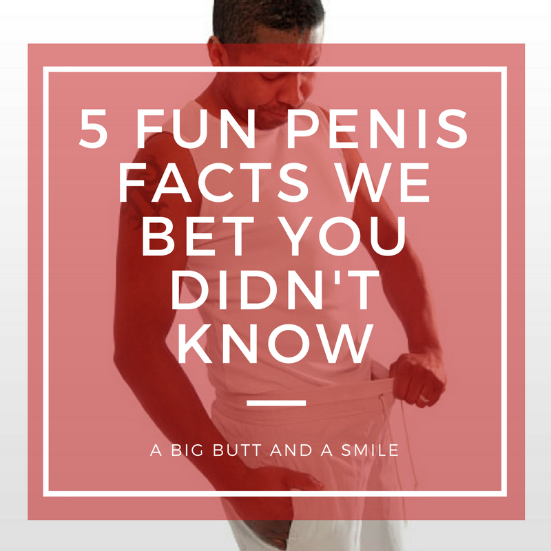 Penis Facts