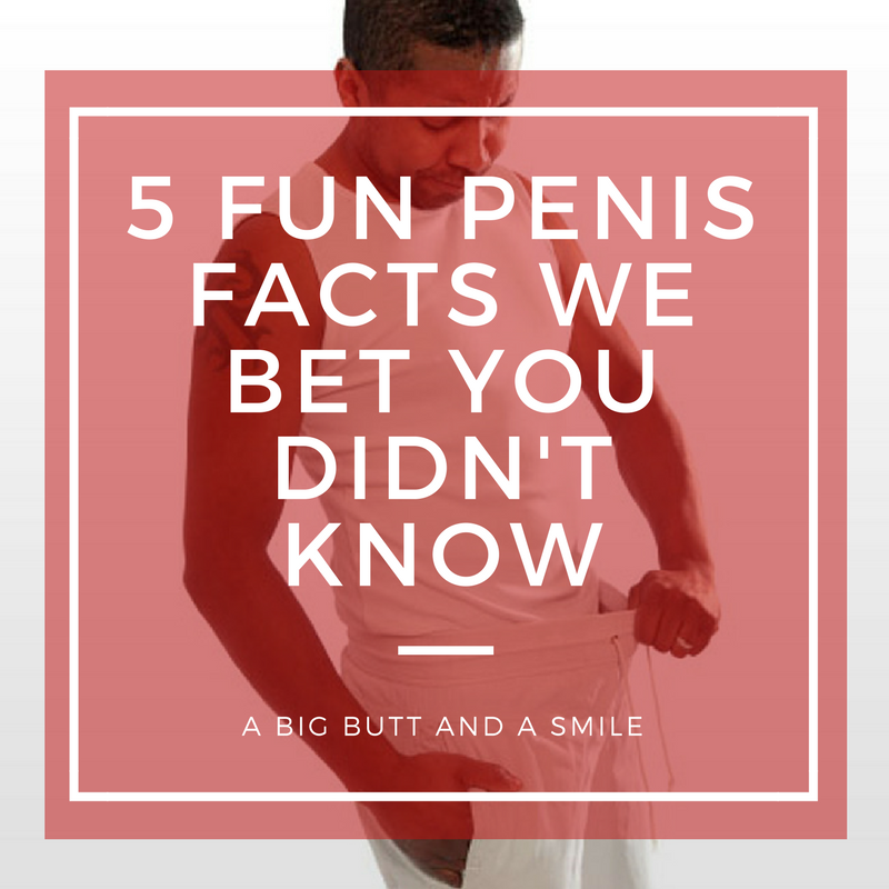 5 Fun Penis Facts We Bet You Didn T Know A Big Butt And A Smile